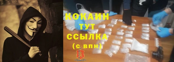 твердый Богородицк