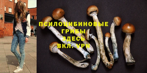 прущие крисы Богородск