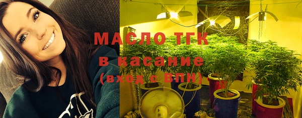 твердый Богородицк