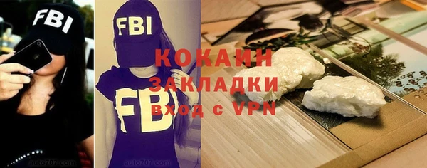 твердый Богородицк