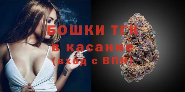 твердый Богородицк