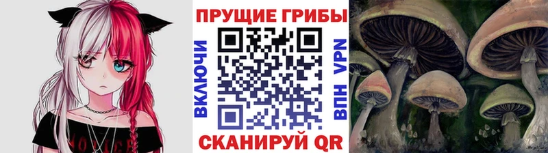 сколько стоит  hydra ONION  Галлюциногенные грибы GOLDEN TEACHER  Волгореченск 