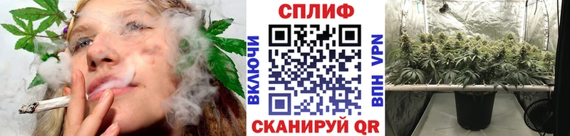 Шишки марихуана VHQ  Волгореченск 